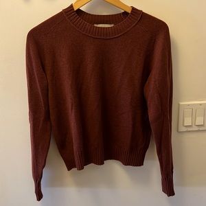 everlane cashmere sweater